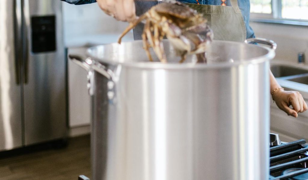 Bästa Sous Vide bäst i test