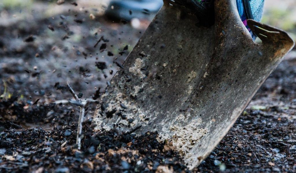 Bästa Spaden bäst i test