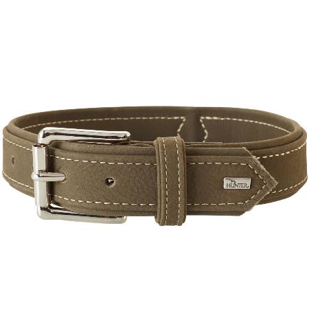 Bästa hundhalsbandet