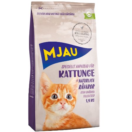 Bästa kattmaten för kattungar