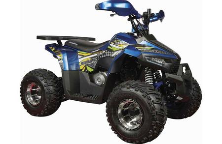 ATV, fyrhjuling för barn, Mudhawk