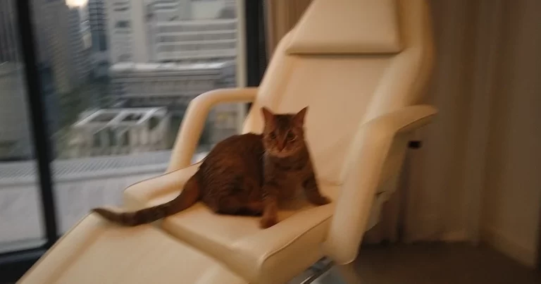 lykke behandlingsstol comfort