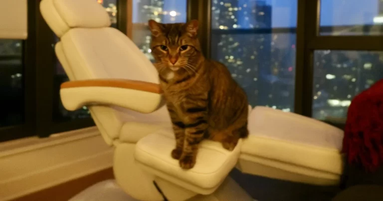 Lykke Behandlingsstol Deluxe