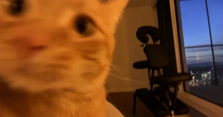 React Massagestol A100