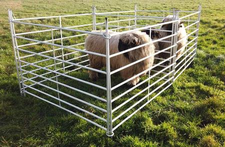 Fårgrind 200 cm - 10 st