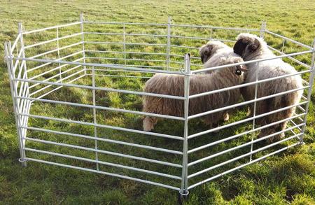 Fårgrindar