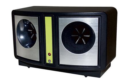 Gnagarskrämma - Ultraljud