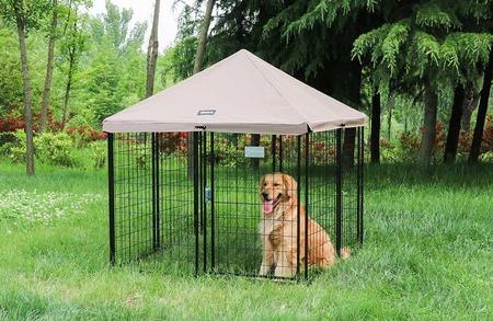 Transportabel hundgård