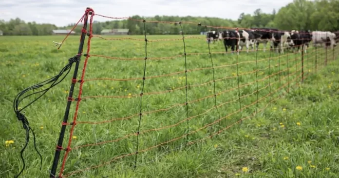 Test av Kerbl Fårnät Titan Net med dubbelfot