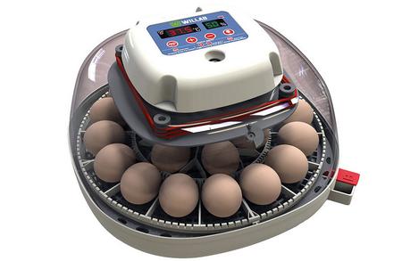 Willab äggkläckningsmaskin - 22 ägg