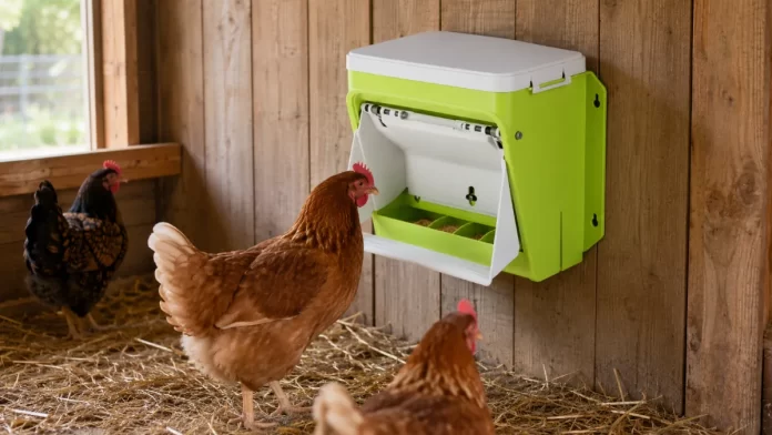 Test av Foderautomat höns - SmartCoop