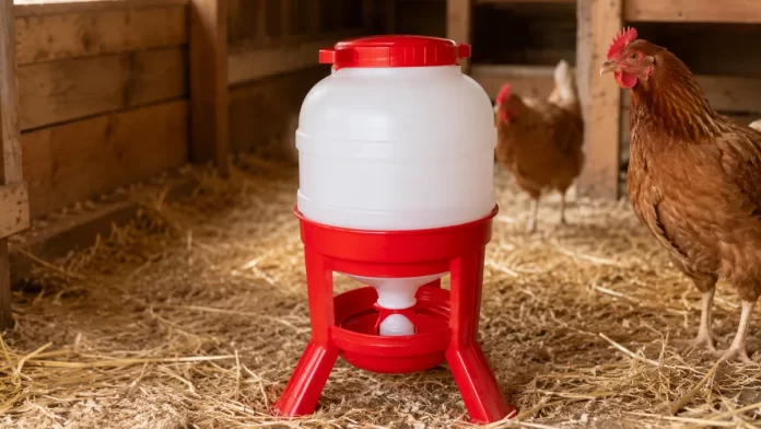 test-av-foderautomat-till-fagel Test av Foderautomat till fågel - 30 liter